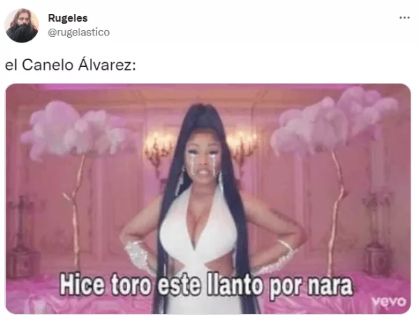 memecanelo6.png_59559263