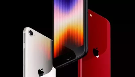 WhatsApp Image 2022-03-10 at 11.52.07 AM