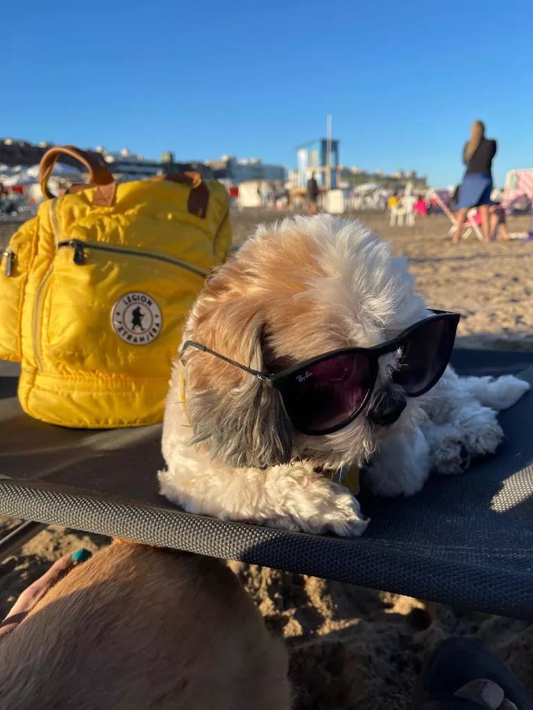 WhatsApp Image 2022-03-29 at 10.16.43 AM