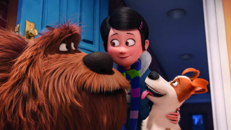 f768x1-33672_33799_5050