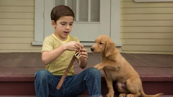 f608x342-33671_63394_15