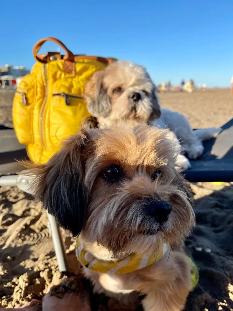 WhatsApp Image 2022-03-29 at 10.22.25 AM