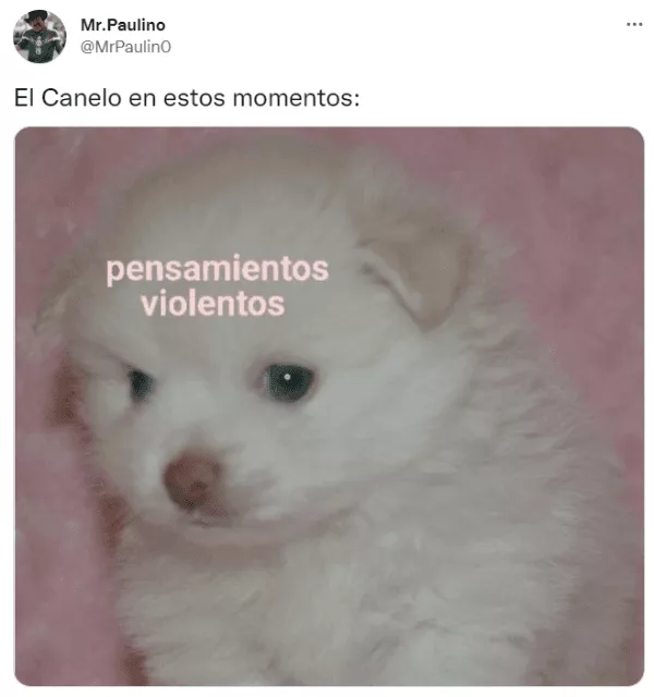 memecanelo5.png_1749273818