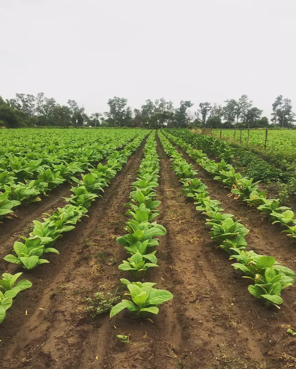 WhatsApp-Image-2022-04-06-at-5.58.02-PM