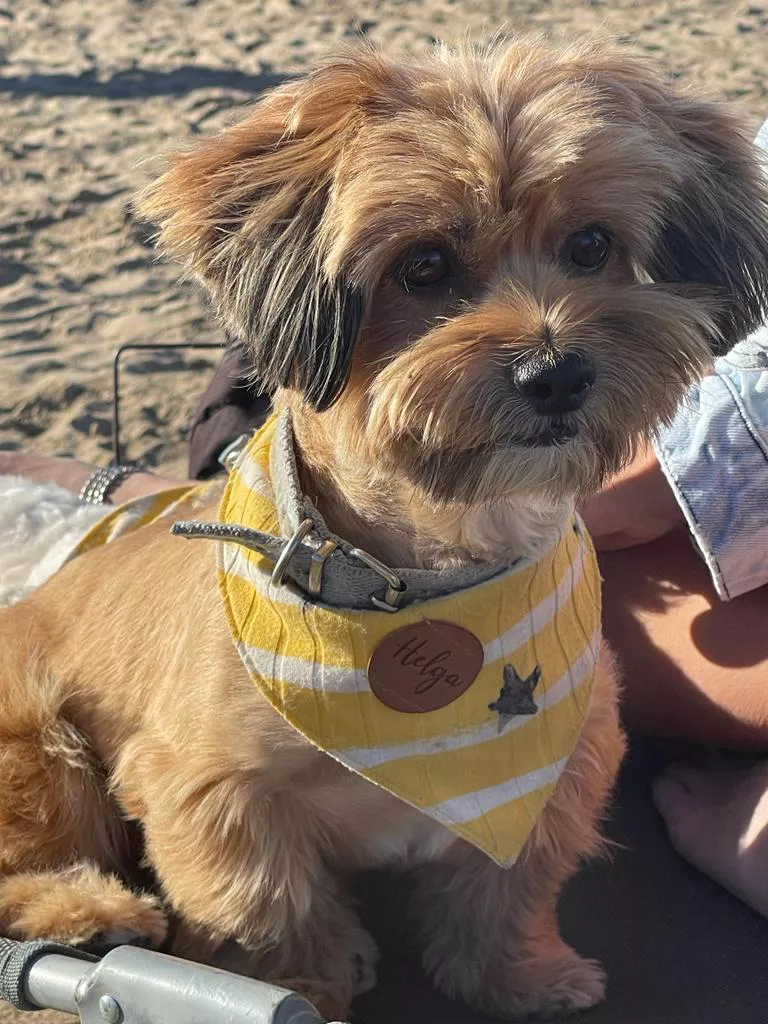 9fbdf4ce-4a64-424a-82c7-ba5c2e638c13