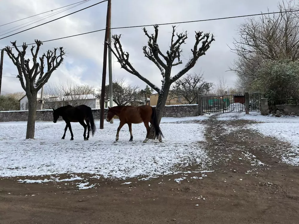 4429_f2e39c82e6da4a39b458595ec79af48cjpg_20220716095356