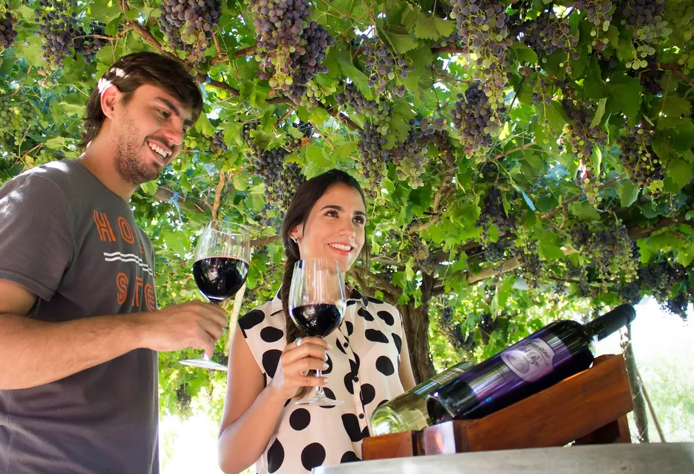 Vinos Tuumán