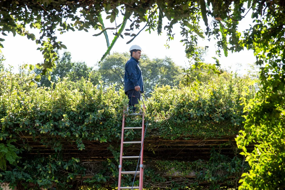 Rosedal de San Miguel de Tucumán