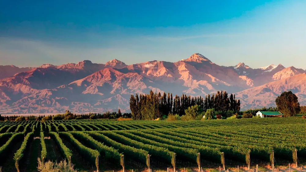 turismo-mendoza-2-web