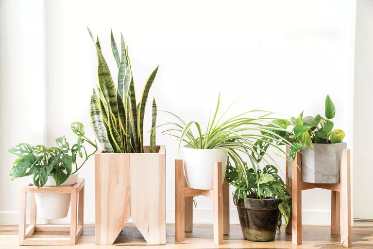 D52Z6GYKU5DYTEWALLBPPMAPEA