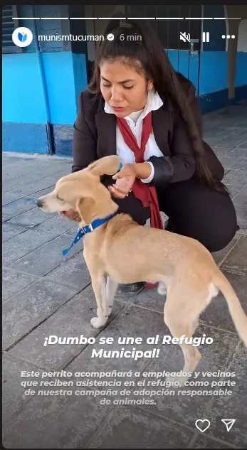 Captura de pantalla_3-4-2025_162823_www.instagram.com