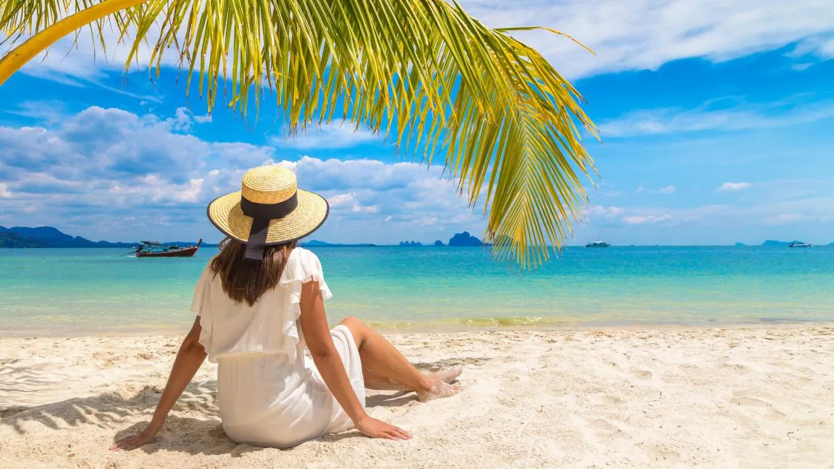 6364d3e209f49.r_d.1050-857-5658