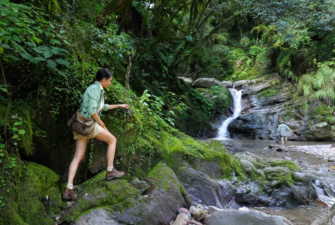 Screenshot_20250105-180719