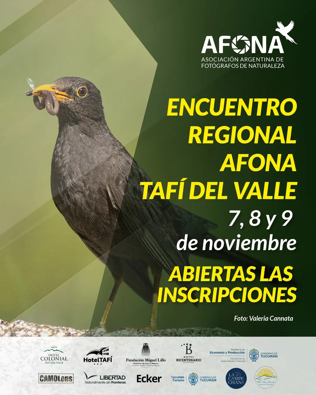 555465824_18203018407310725_7576663560952675427_n