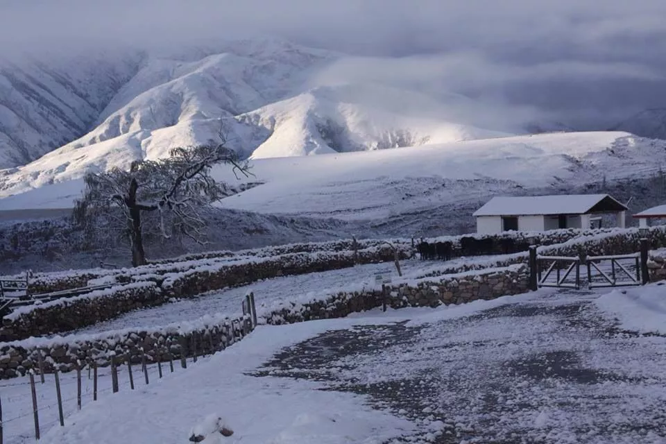 f3a6907b6e41163d628f27dfea2d371b