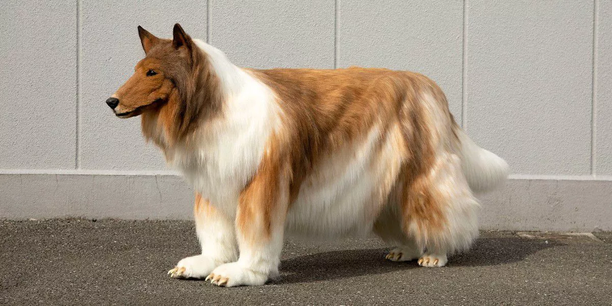 APW7BAC6VZFP5P25JV53UBMVQY