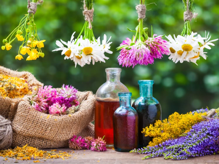 las-sensaciones-que-nos-despiertan-los-aromas-DESTACADA-1-749x561.png