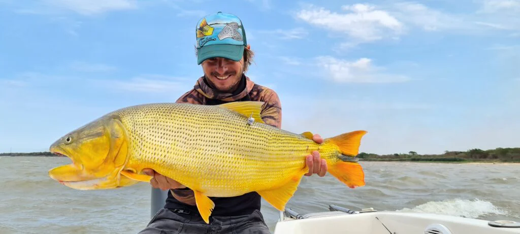 dorado
