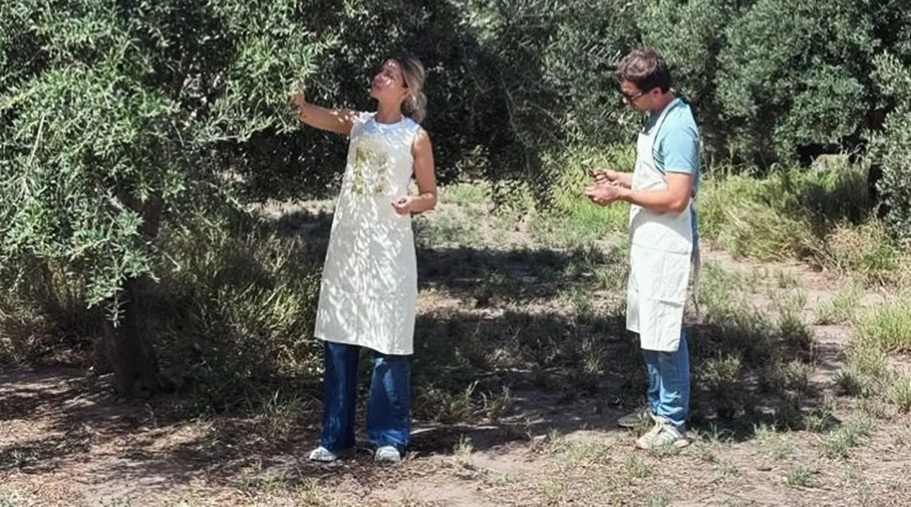 fratelli
