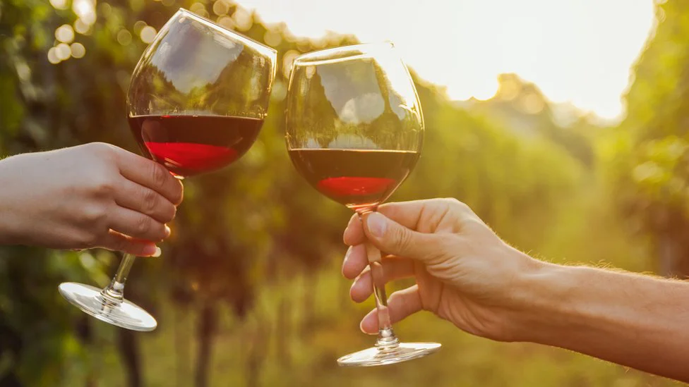 vino