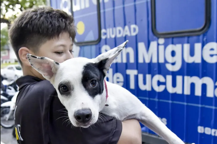 926x0_84380_20250313070422