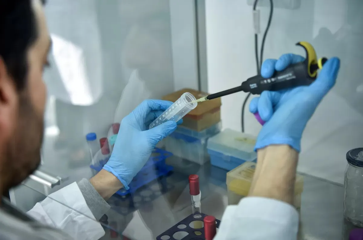 Universidad San Pablo T