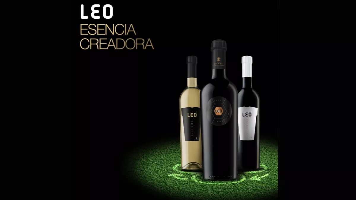 Diseno-sin-titulo-57