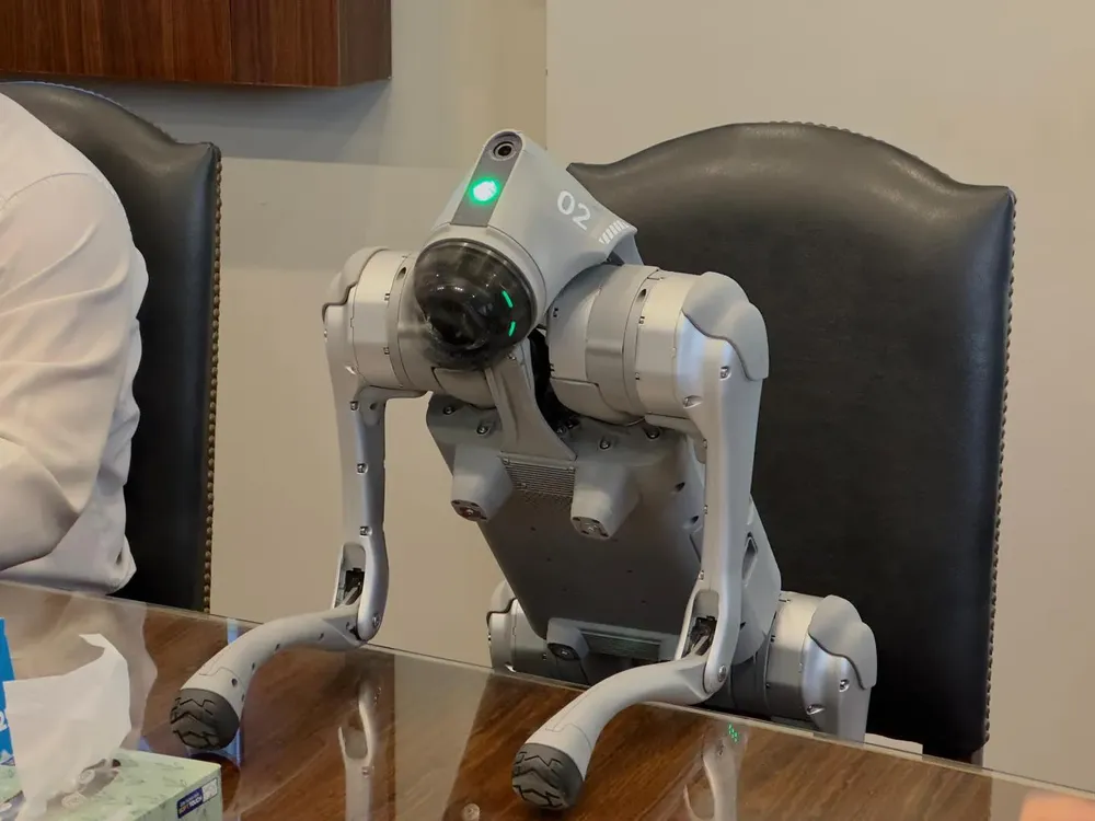 552303341_1334876297995485_6362997675143313929_n