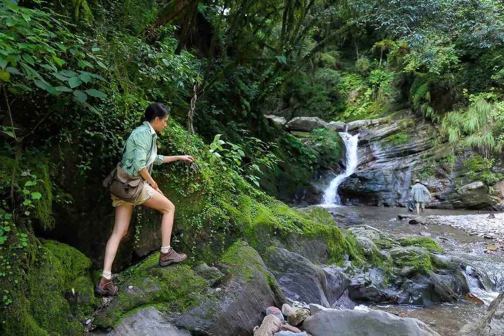 las Yungas
