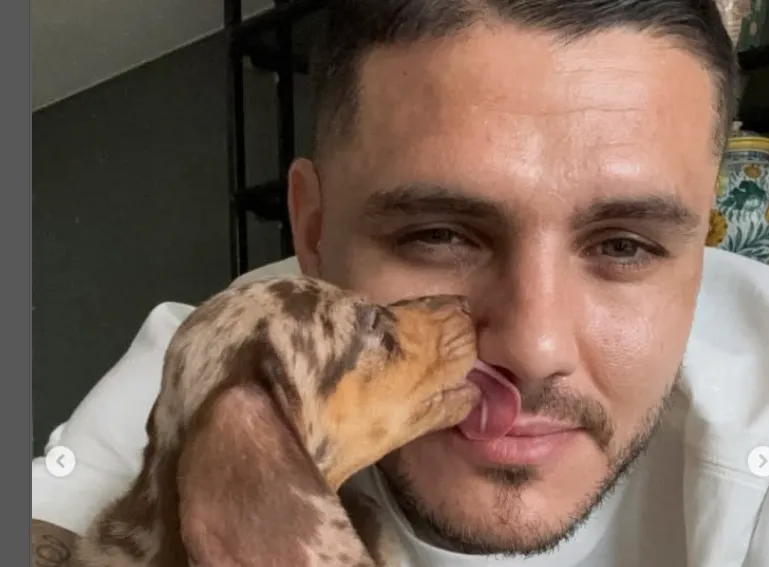 Screenshot_20241008-101245