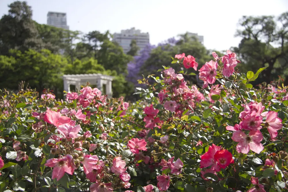 parque