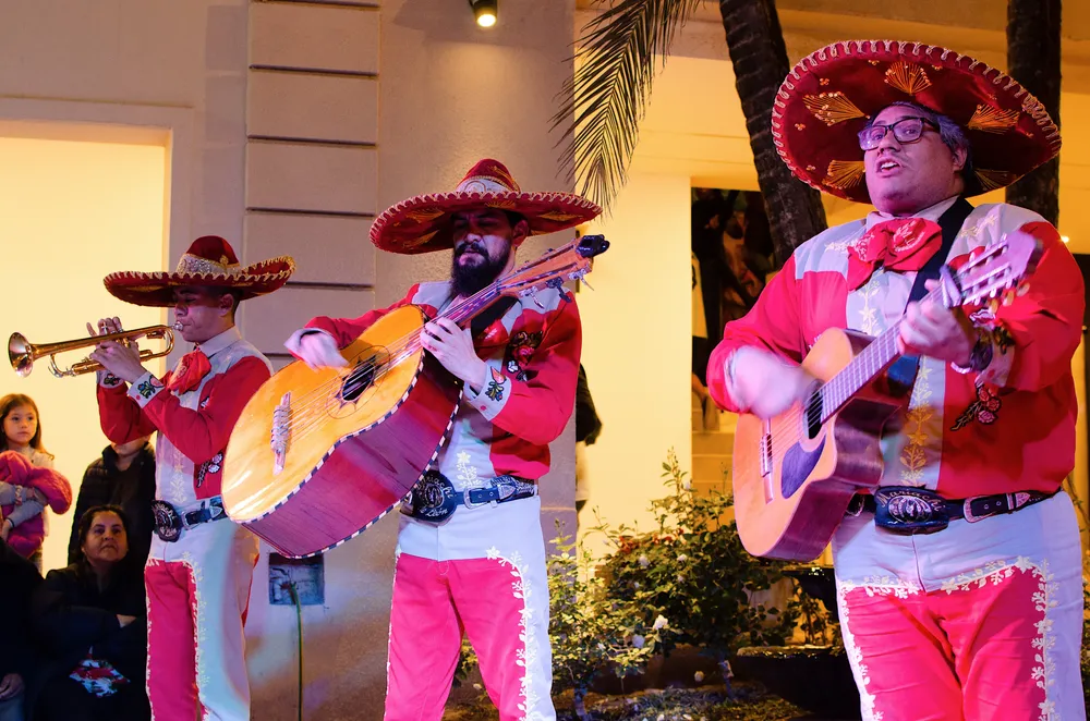 fiesta provincial de las colectividades2