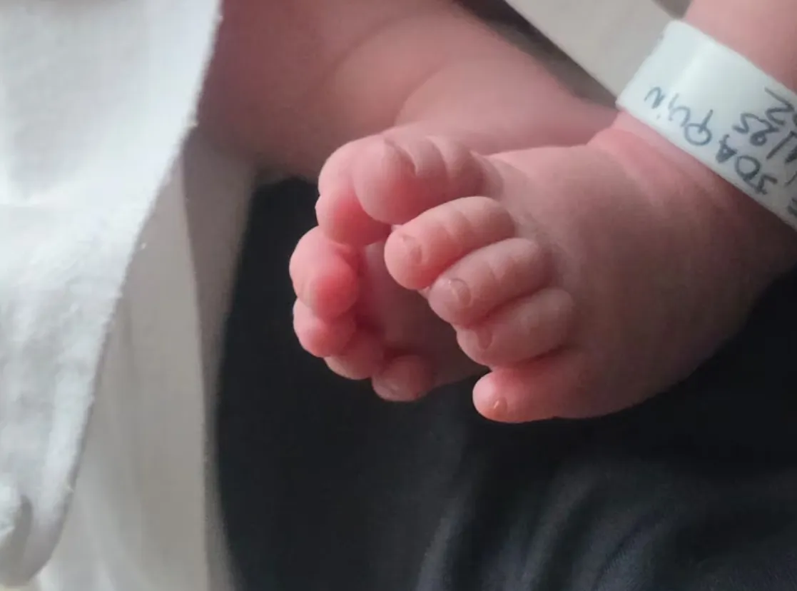 Captura de pantalla_20-11-2025_93540_www.ciudad.com.ar