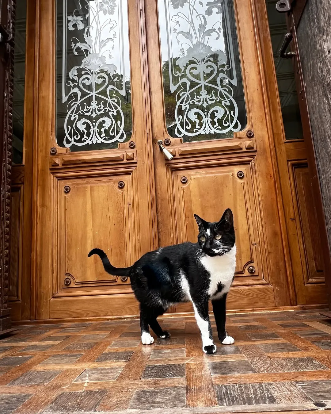 499655213_18059143163242198_5035085233805185395_n