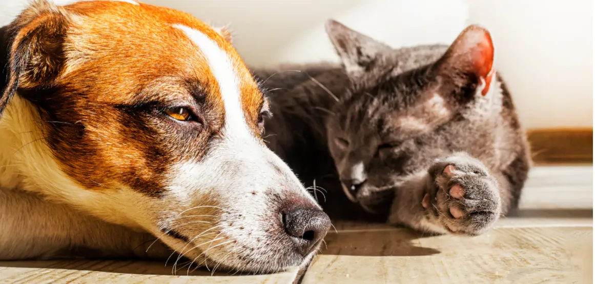 Screenshot_20250113-191158