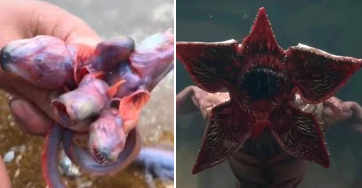 VFZ3KHUKVFBYRPNFBIXBMHB73I