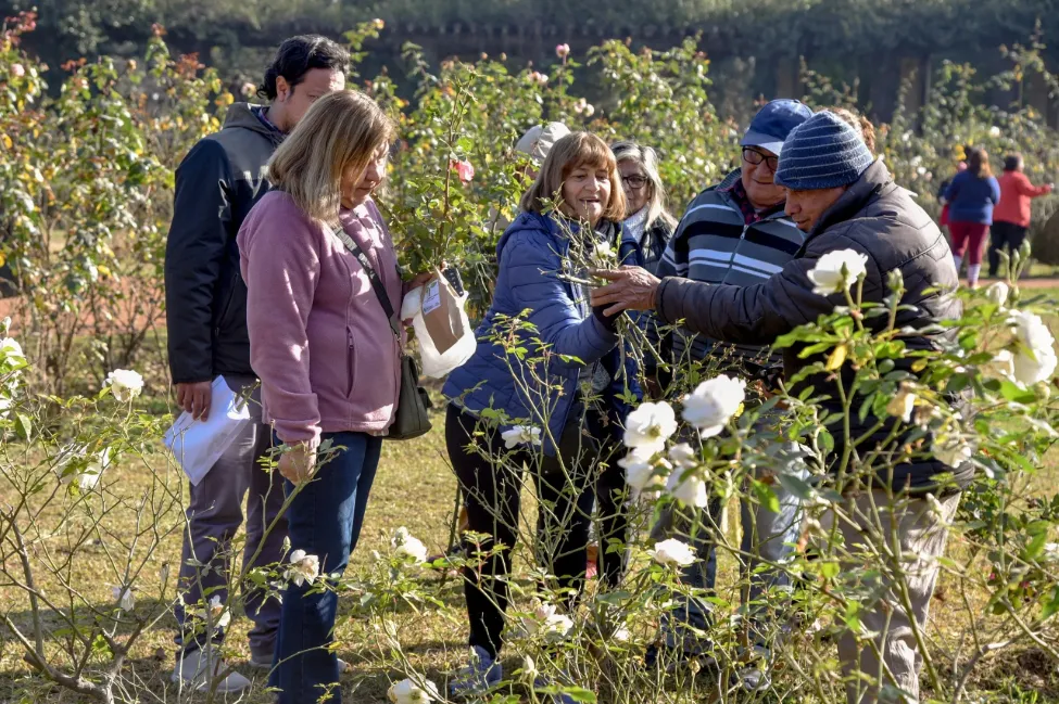 Captura de pantalla_18-3-2025_181928_comunicacionsmt.gob.ar