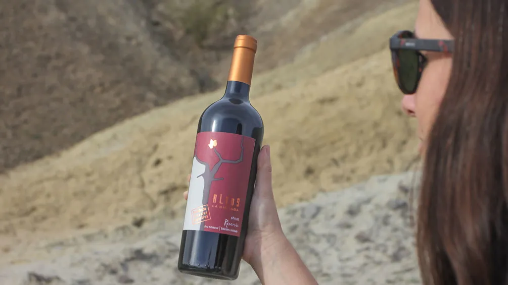 vino amaicha