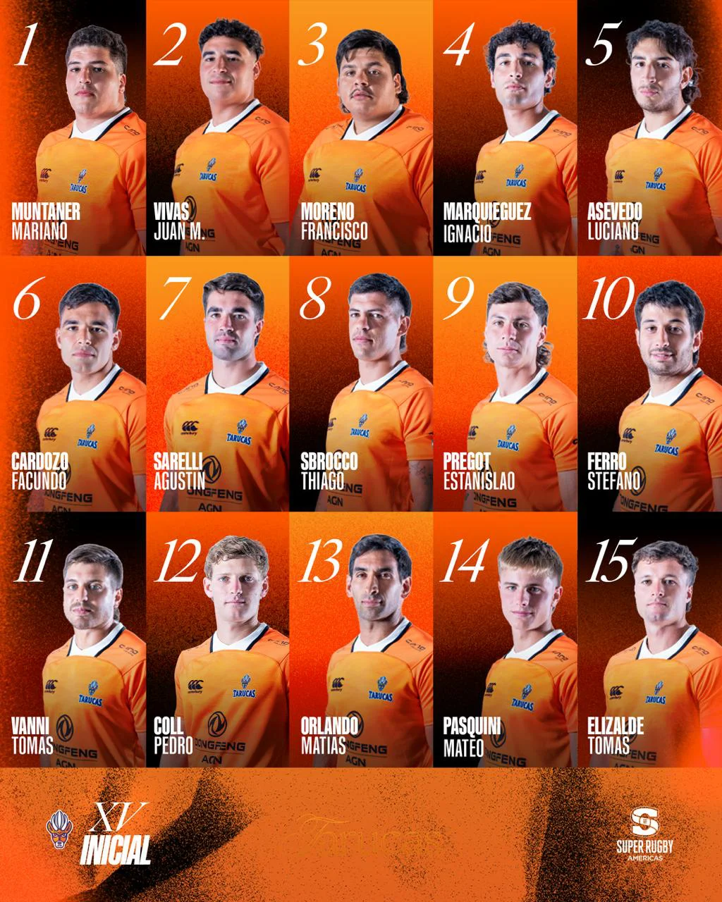 Tarucas formacion