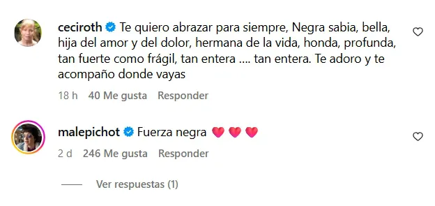 Captura de pantalla_11-8-2025_161246_www.instagram.com