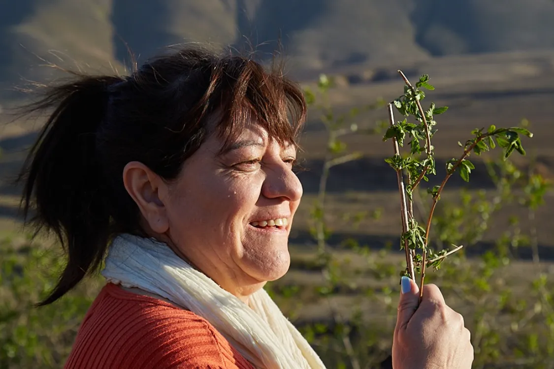 Screenshot_20240927-123349