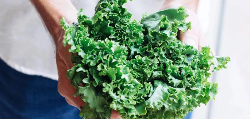 cbb02e36c34d5c2a01cae33ece6079c7f8139118-2000x953