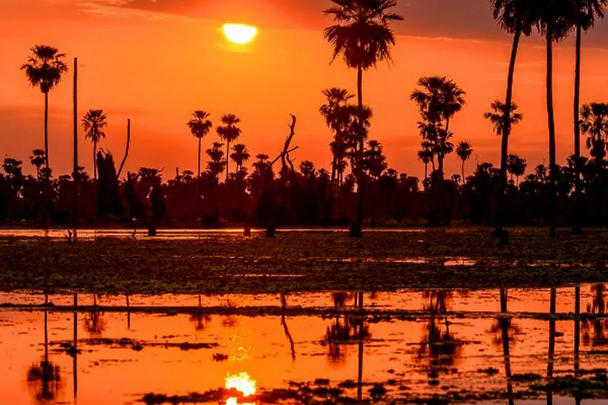 VVI35X65JRCPBP5FSUNAVGYHYI