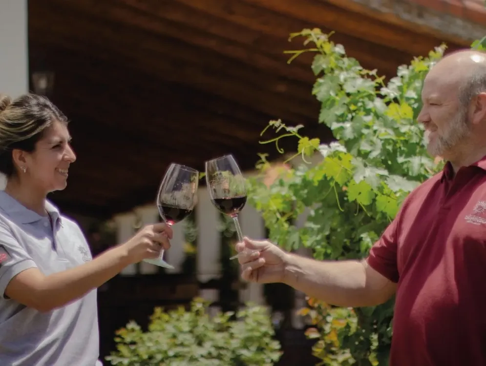 vino y xomida