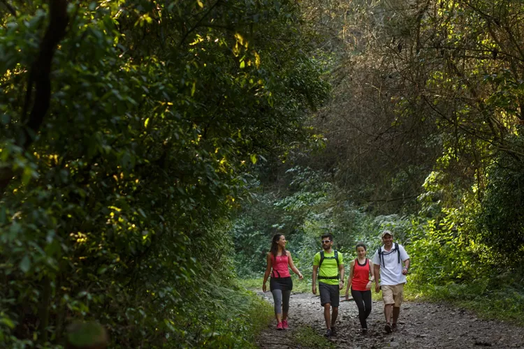 nota san javier salinas collado