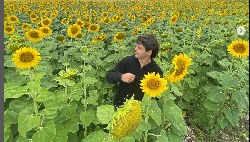 Screenshot_20241110-113423