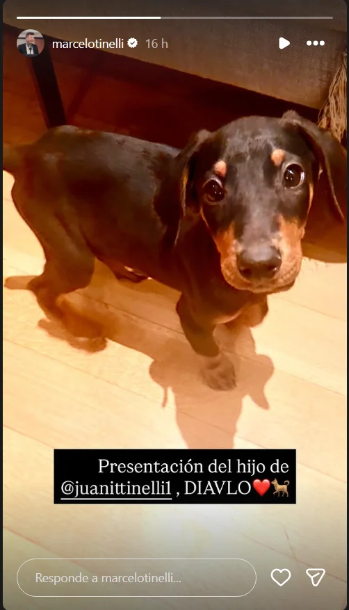 Instagram de Marcelo Tinelli