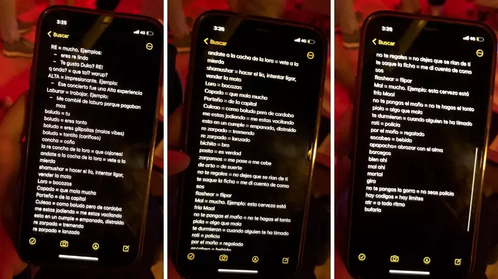 23733-el-diccionario-de-modismos-que-se-armo-un-espanol-para-entender-a-los-argentinos-flashearflipar